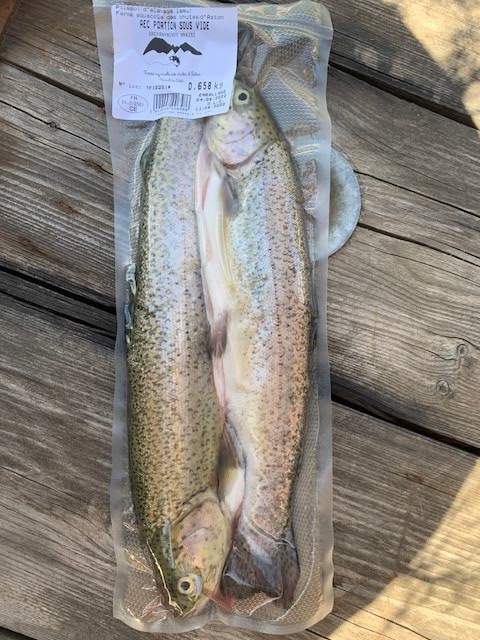 La grosse truite arc en ciel Banque de photographies et d’images à haute résolution - Alamy