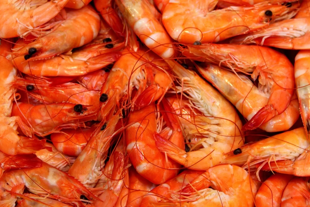 SUR COMMANDE POUR Noël  Crevettes Cuites AU KG